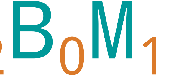 SBMI 2015